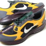 Nike pegasus 35